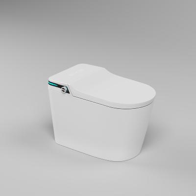 輕智能坐便器 手動(dòng)款 WB21001C