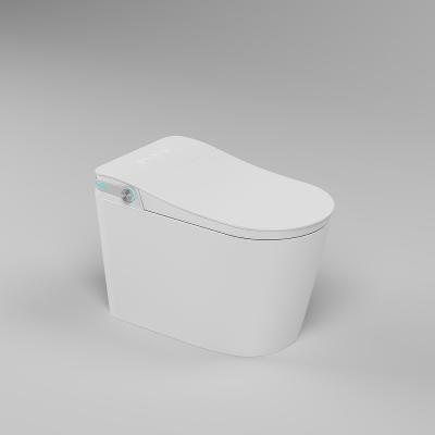 智能坐便器 手動(dòng)款 WB21003C