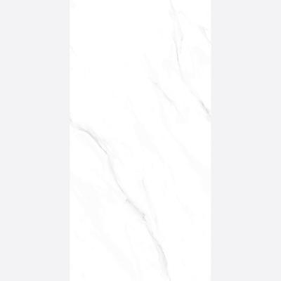 亮光中板400*800 WA13021W48C