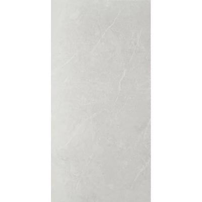 亮光中板400*800 WA13023H48C