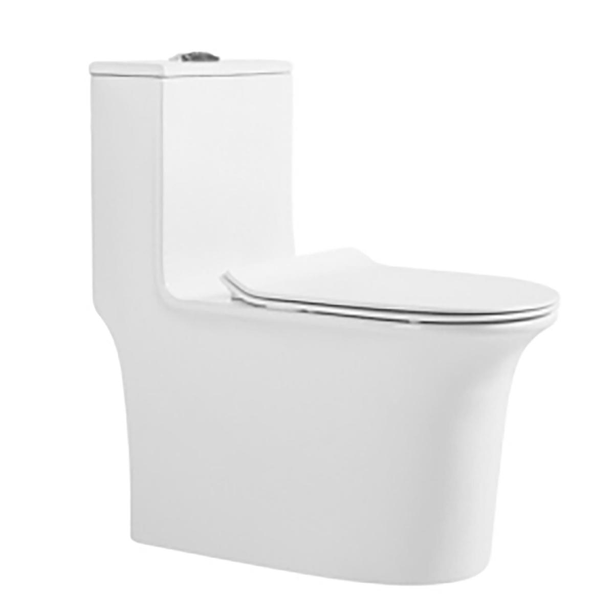 坐便器 手動款 WB21019C